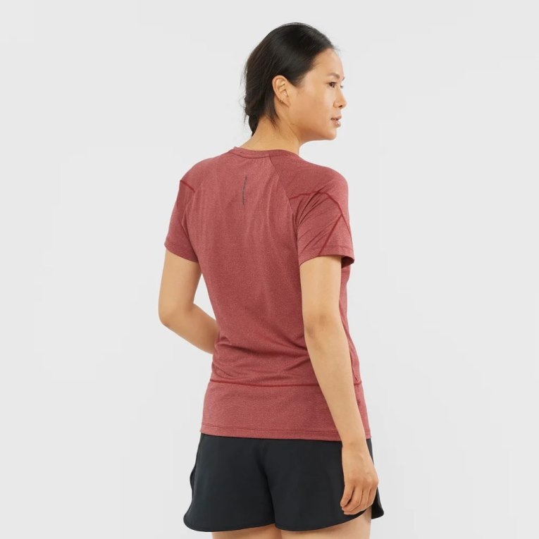 Camiseta Salomon Cross Run Estampados Corta Sleeve Mujer Rojos | MX VIMB309